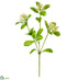 Silk Plants Direct Pentas Star Flower Spray - White - Pack of 12