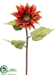 Sunflower Spray - Brick - Pack of 12