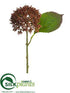 Silk Plants Direct Sedeum Spray - Green Burgundy - Pack of 12