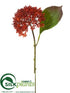 Silk Plants Direct Sedeum Spray - Tea Berry - Pack of 12