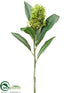 Silk Plants Direct Skimmia Spray - Green - Pack of 12