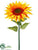 Sunflower Spray - Yellow Orange - Pack of 6