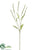 Forest Setaria Spray - Cream Green - Pack of 12