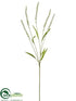 Silk Plants Direct Forest Setaria Spray - Cream Green - Pack of 12