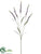 Silk Plants Direct Forest Setaria Spray - Cream Green - Pack of 12
