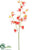 Silk Plants Direct Sweet Pea Spray - Coral - Pack of 12