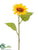 Prairie Sunflower Spray - Yellow - Pack of 24