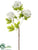 Silk Plants Direct Snowball Spray - White - Pack of 12