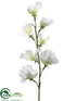 Silk Plants Direct Sweet Pea Spray - Cream - Pack of 12