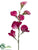 Sweet Pea Spray - Fuchsia Two Tone - Pack of 12