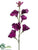 Sweet Pea Spray - Fuchsia Two Tone Lavender Dark Orchid Dark - Pack of 12