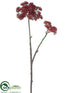 Silk Plants Direct Sedum Spray - Burgundy - Pack of 12