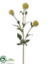 Silk Plants Direct Scabiosa Spray - Lime - Pack of 12