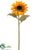Sunflower Spray - Orange - Pack of 12