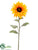 Sunflower Spray - Yellow Gold - Pack of 12