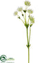 Silk Plants Direct Forest Scabiosa Spray - Cream Green - Pack of 12
