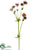 Forest Scabiosa Spray - Mauve Green - Pack of 12