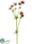 Forest Scabiosa Spray - Mauve Green - Pack of 12