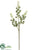 Silk Plants Direct Sedum Spray - White Green - Pack of 12