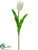 Tulip Spray - Cream White - Pack of 24