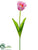Parrot Tulip Spray - Cerise Yellow - Pack of 12
