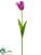 Silk Plants Direct Parrot Tulip Spray - Orchid Cream - Pack of 12