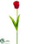 Parrot Tulip Spray - Red Green - Pack of 12