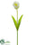 Parrot Tulip Spray - White Green - Pack of 12