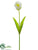 Silk Plants Direct Parrot Tulip Spray - White Green - Pack of 12