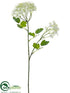 Silk Plants Direct Thalictrum Spray - Cream - Pack of 12