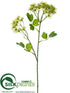 Silk Plants Direct Thalictrum Spray - Green - Pack of 12