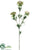 Blooming Thistle Spray - White - Pack of 12