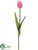 Tulip Bud Spray - Cerise Two Tone - Pack of 12