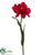 Tulip Spray - Beauty - Pack of 12