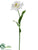 Tulip Spray - White - Pack of 12