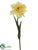 Tulip Spray - Yellow - Pack of 12