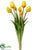 Tulip Bundle - Yellow - Pack of 12