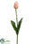 Tulip Spray - Peach - Pack of 12