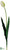 Tulip Spray - Green Pink - Pack of 12