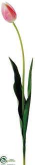 Silk Plants Direct Tulip Spray - Rose Cream - Pack of 12