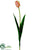 Dutch Tulip Spray - Rose Green - Pack of 12