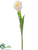Silk Plants Direct Tulip Spray - Cream Pink - Pack of 12