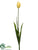 Tulip Spray - Yellow - Pack of 12