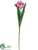 Silk Plants Direct Tulip Spray - Rubrum Cream - Pack of 12