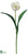 Tulip Spray - White - Pack of 12