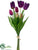 Tulip Bundle - Purple Two Tone - Pack of 12