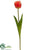 Tulip Spray - Apricot - Pack of 12