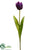Tulip Spray - Eggplant - Pack of 12