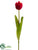 Tulip Spray - Red - Pack of 12