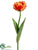 Parrot Tulip Spray - Orange - Pack of 12